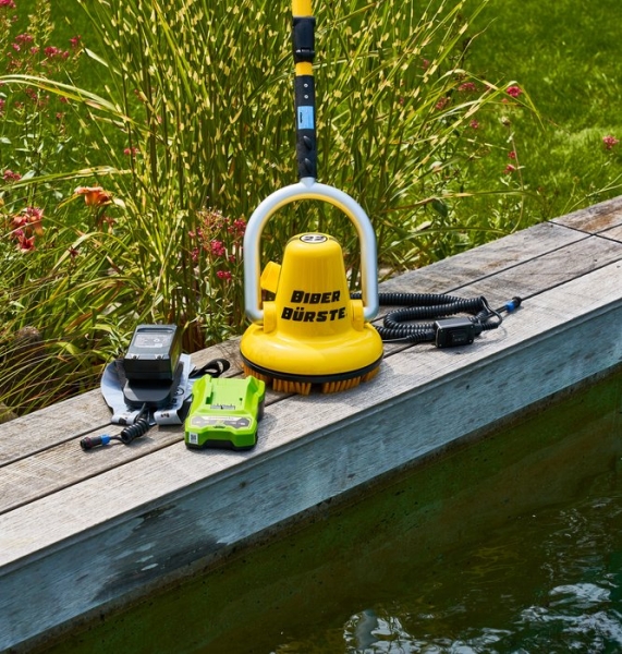 Biber Bürste 22 Kurz